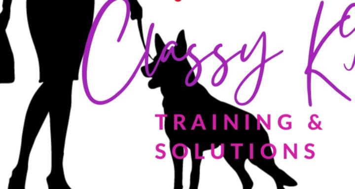 Classy K9 Training Solutions