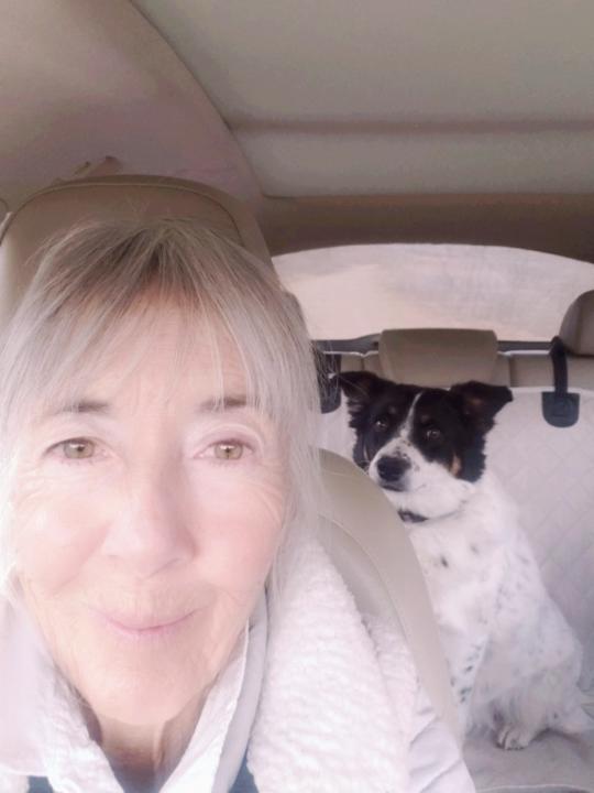 Lynn Schriner