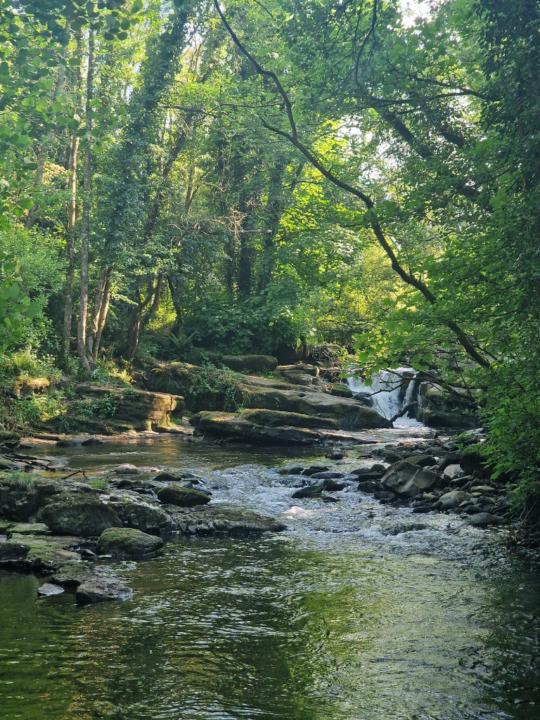 Mayte Pérez Candela