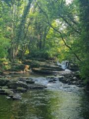 Mayte Pérez Candela