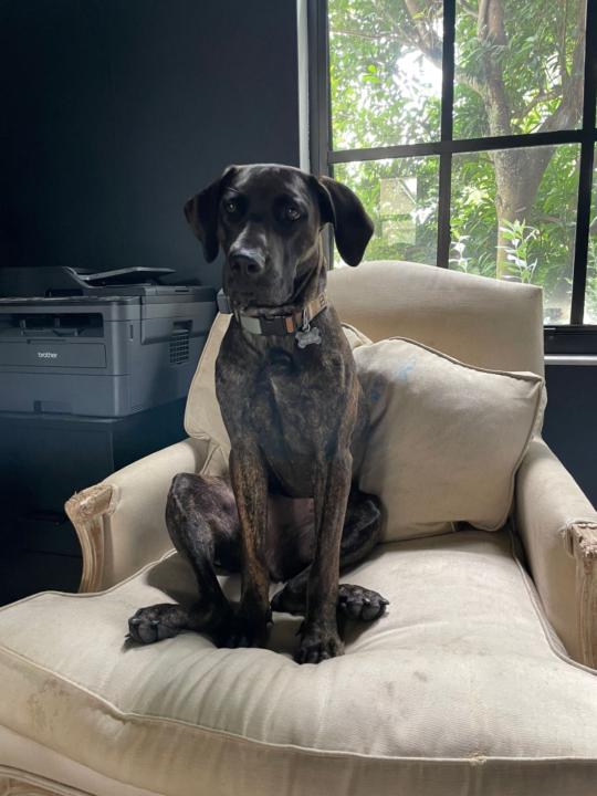 Gabriel Exposito Schmitz