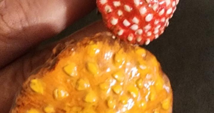 Refined Creations by Regina