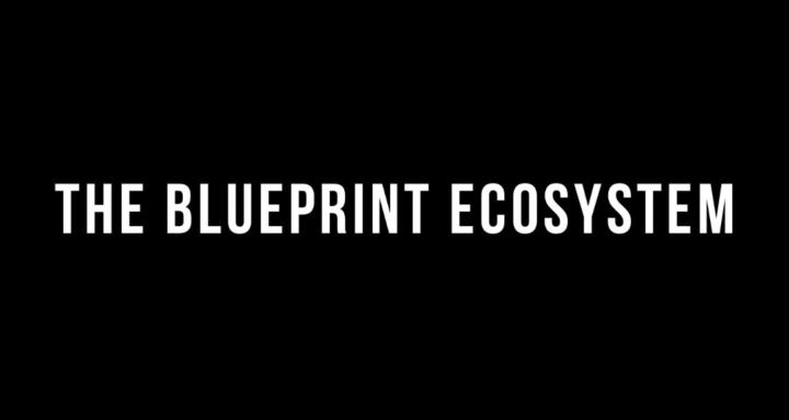 THE BLUEPRINT ECOSYSTEM 