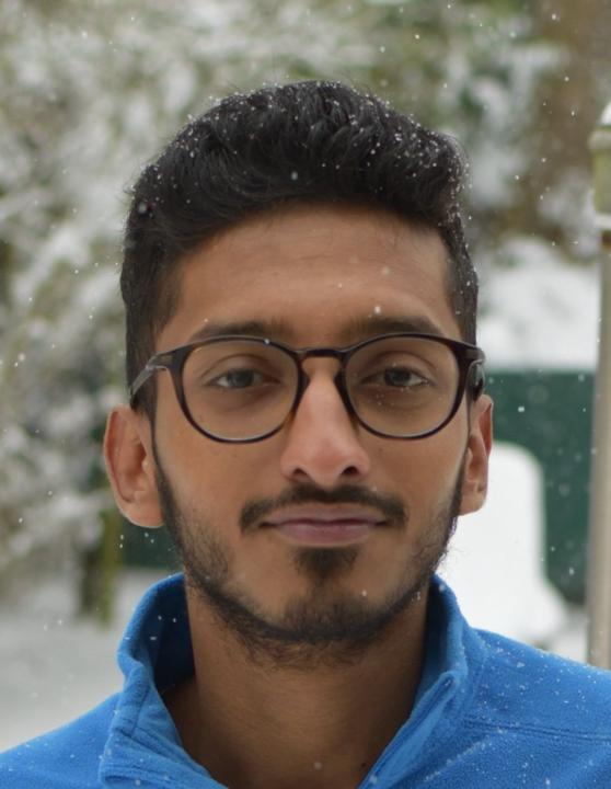 Arkaprabha Ray