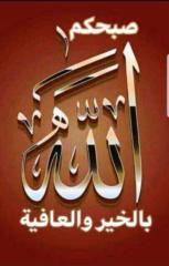 كامله عبدالله