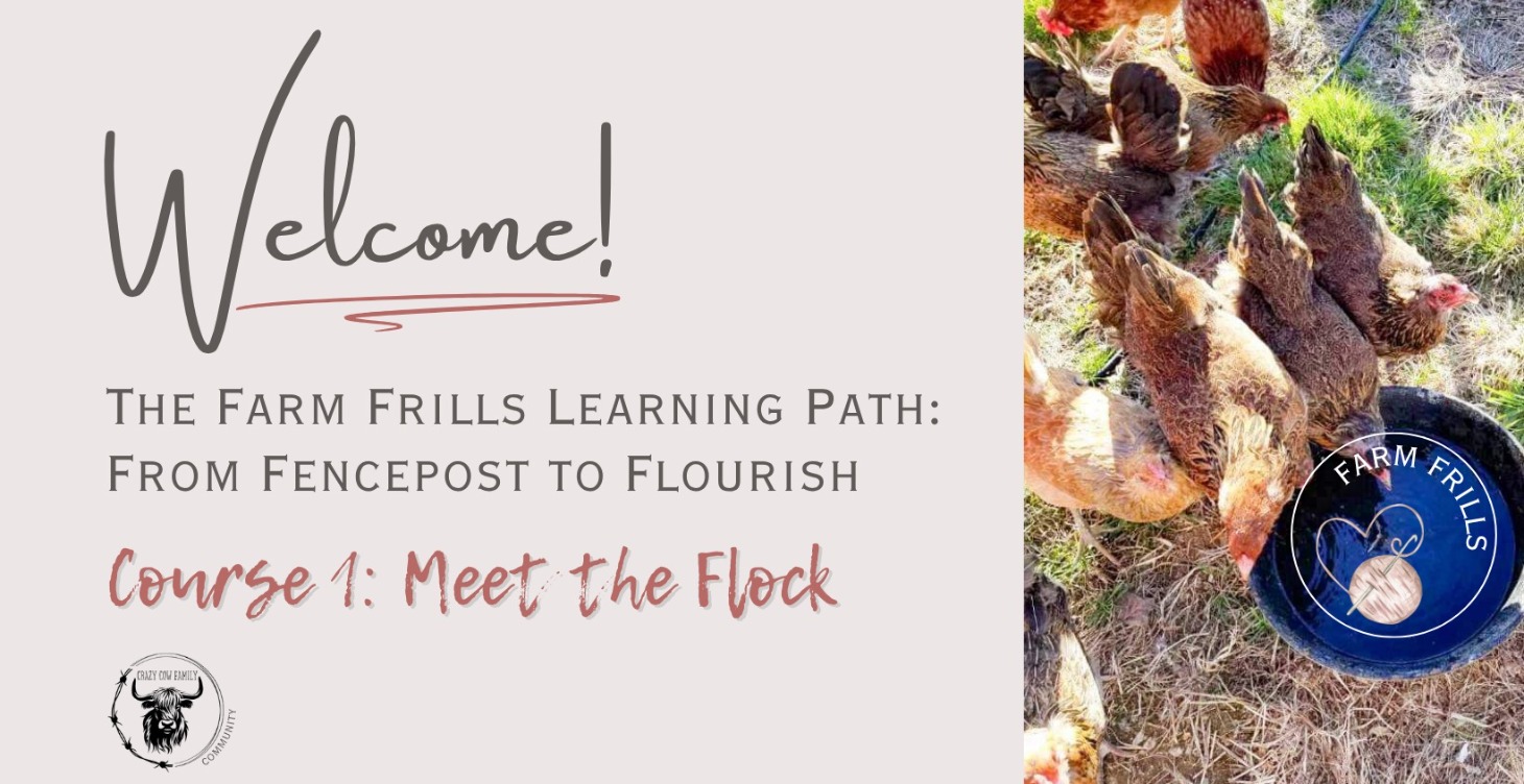 Meet Your Flock
