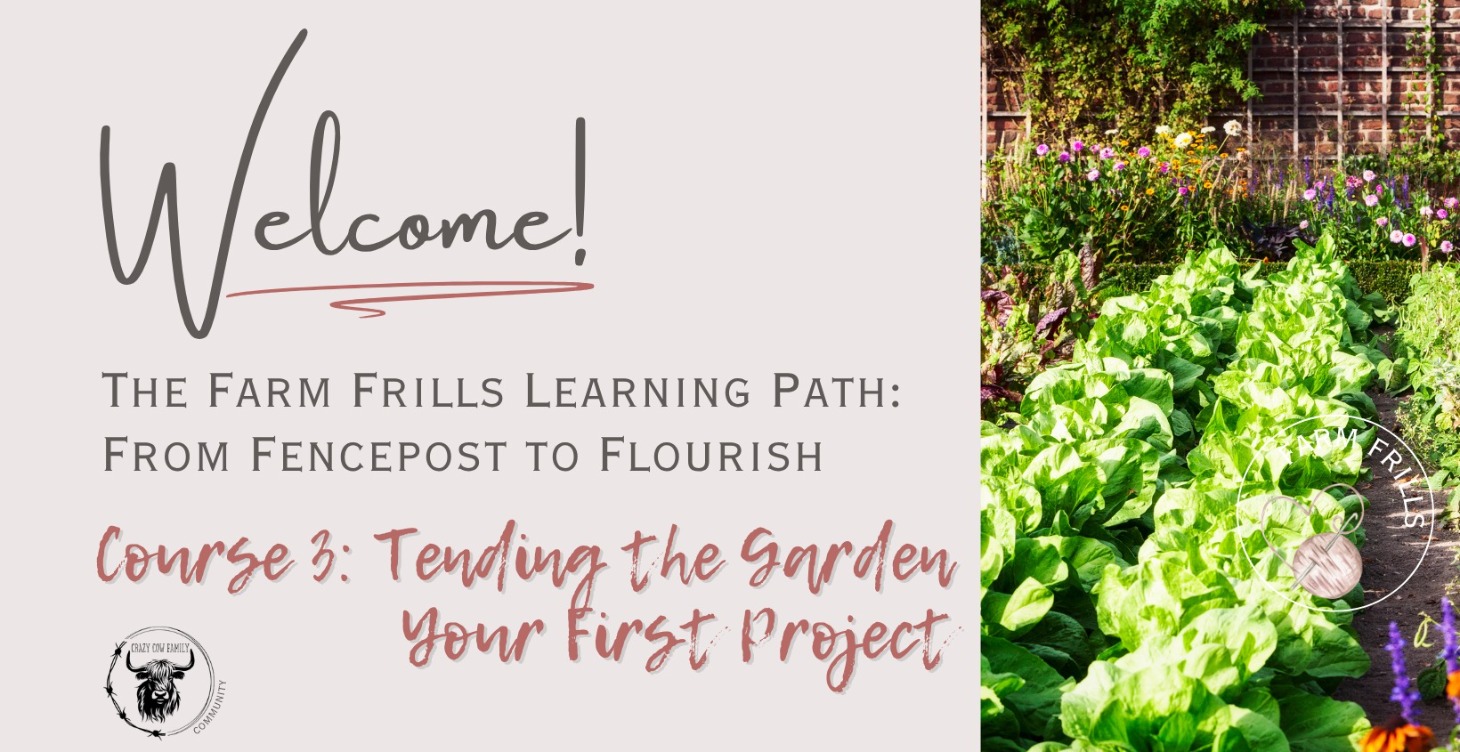 Tending the Garden - Your First Project