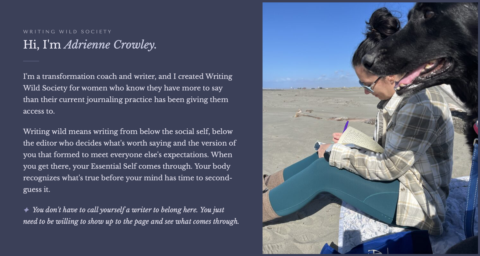 Writing Wild Society gallery image