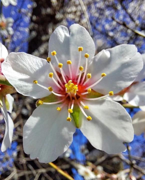 Silvia Lorenzo Perez