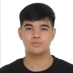 Russ Karlo Padrelanan