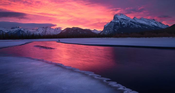 General Group Name