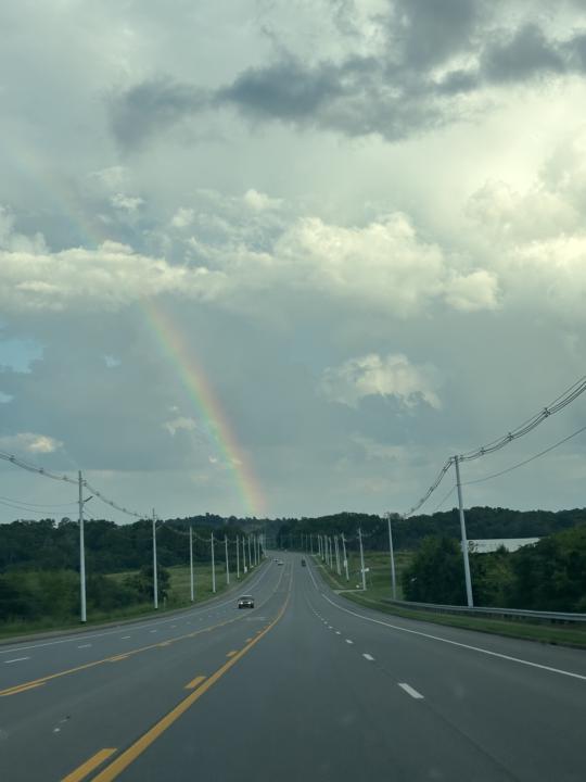 🌈✨