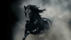 Black Horse