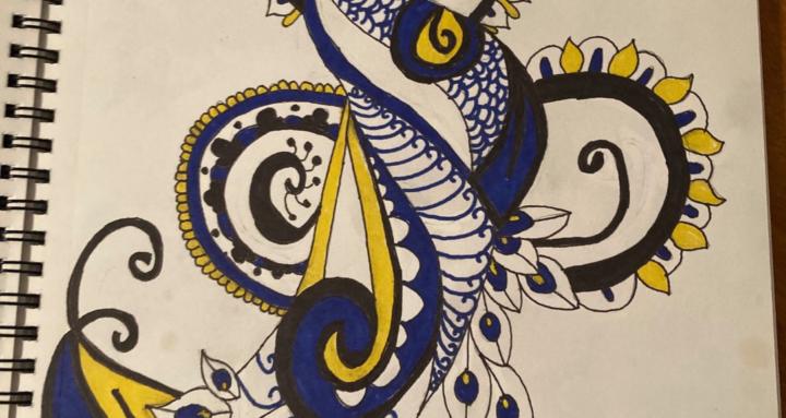 Drawing Everyday