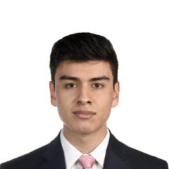 Francisco Murillo Silva