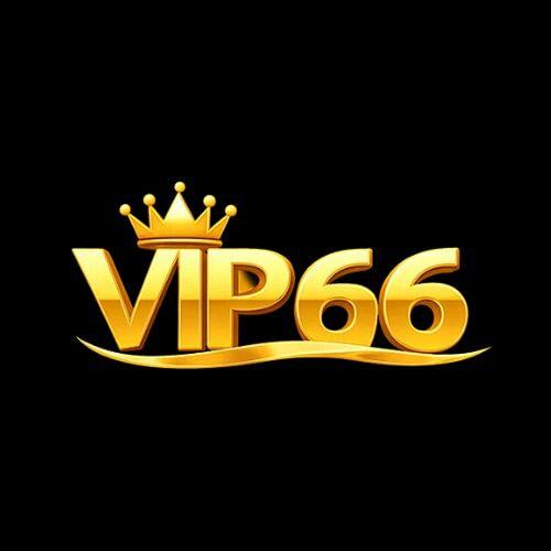 Vip Coach