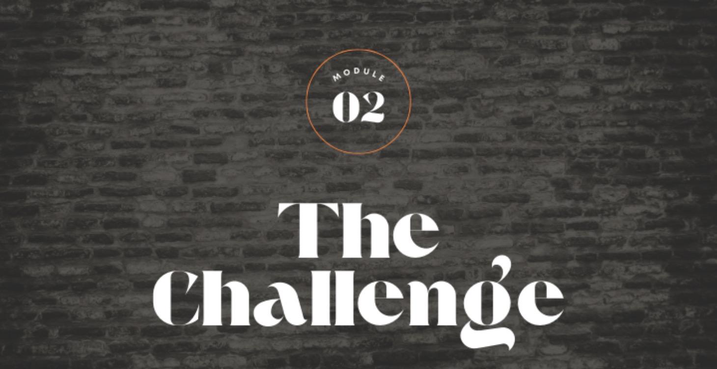 Module 2: The Challenge