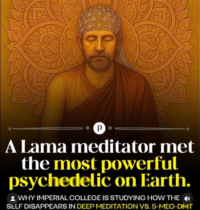 Giving 5MEO to a Lama and advanced meditator