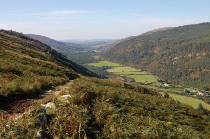 THE BEASTS OF GLENMALURE..