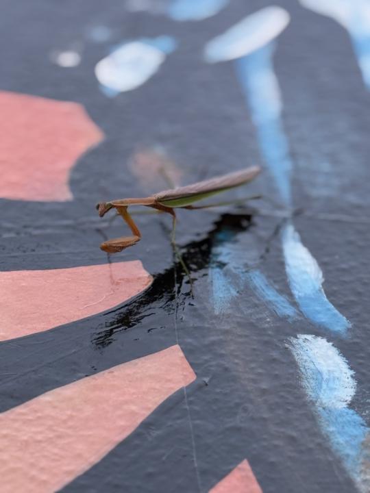 Random shot 