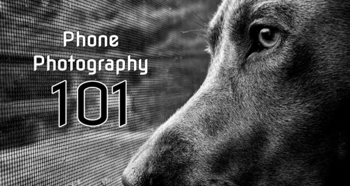 Phone Photography 101