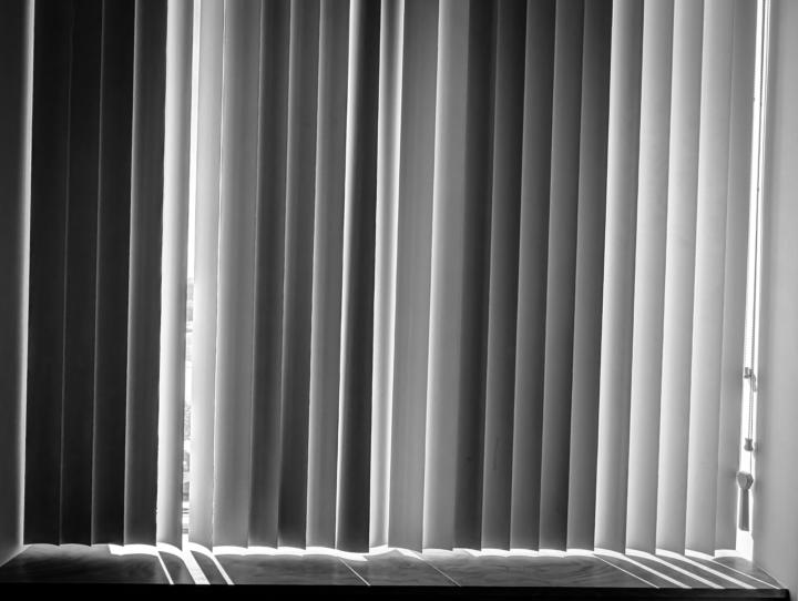 Daily Photo Day 15