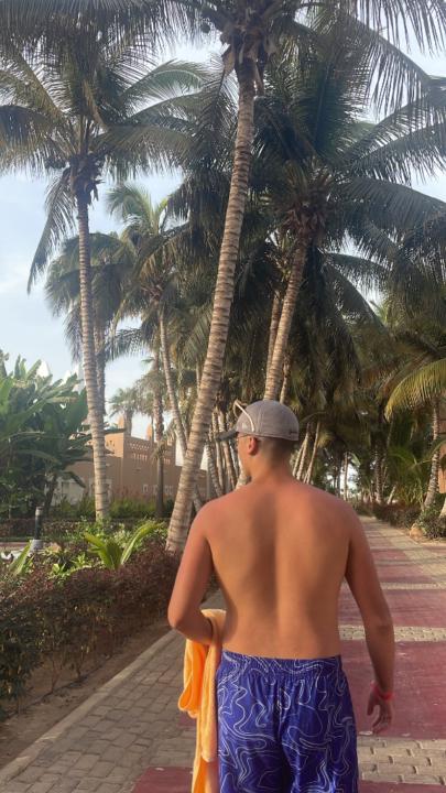 Matisse Teixeira Pereira