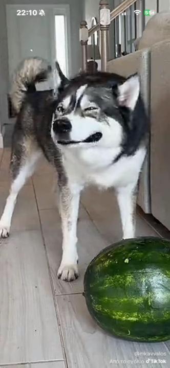 George Let