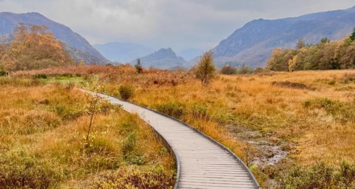 10k a Day: Walking with Tom