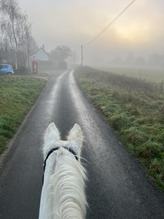 Early morning hacking