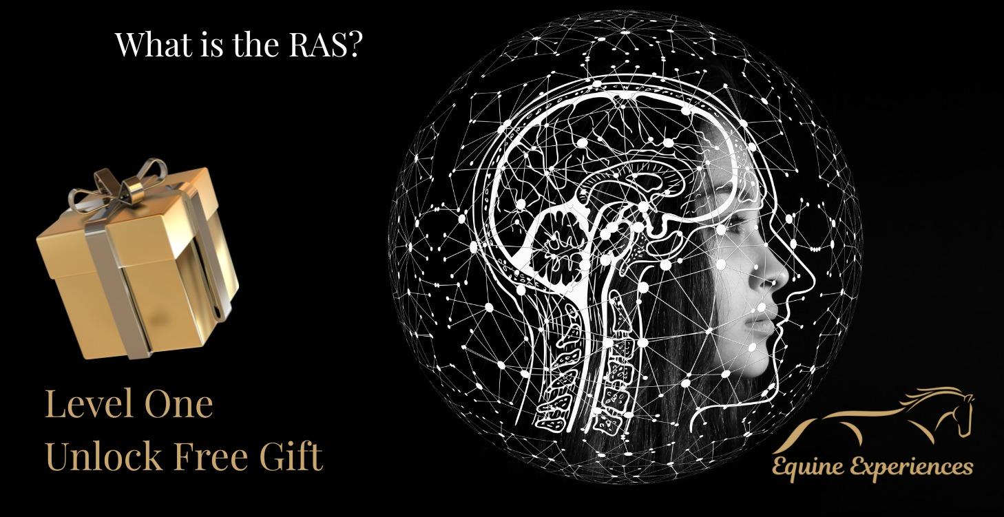 What is the RAS?