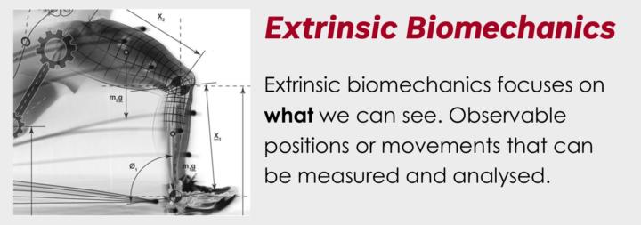 Biomechanics Coaching - The 'what' and the 'why'.