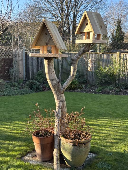 Most thoughtful gift? 