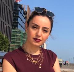 Samin Aboulhassanzadeh