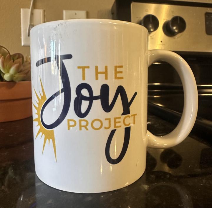 🌟 The 5 Pillars of The JOY Project 🌟