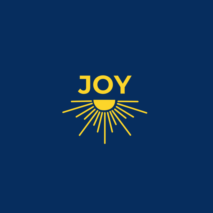 Welcome to the Joy-Led Leadership Forum