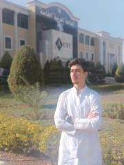 Mohammad Mahdi Hassoun