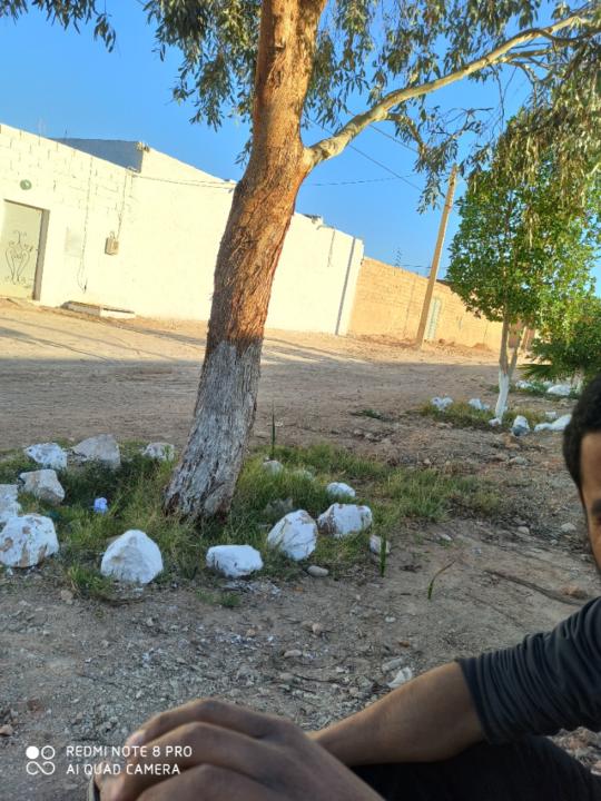 Salah Eddine