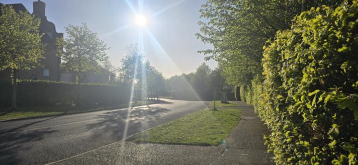 Walking