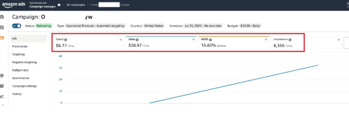 (PROOF OF EARNINGS) Positive ROAS (profit) with Amazon Ads & KDP