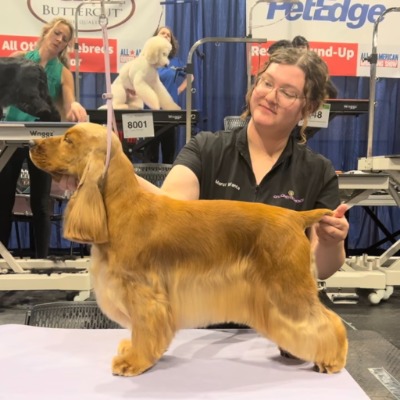 Marci Wanta