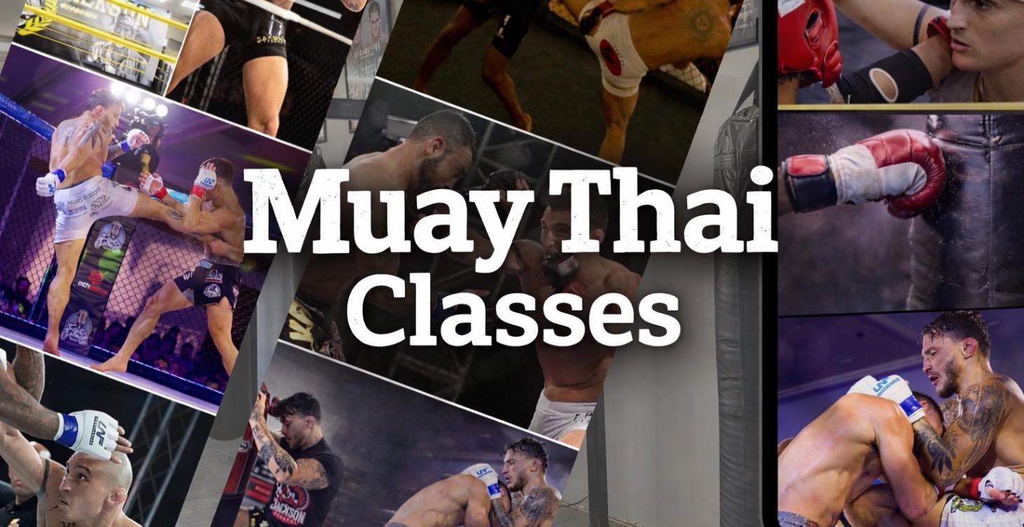 Muay Thai Classes (free for now)