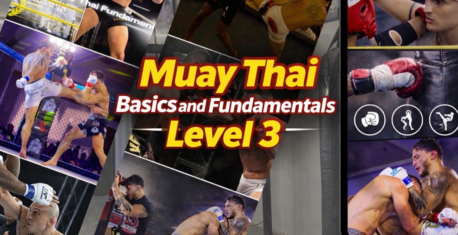 Muay Thai Basics & Fundamentals - level 3