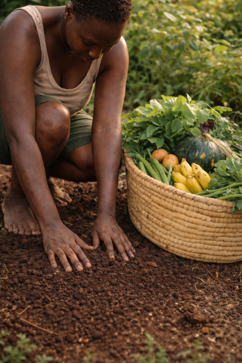 This is Personal-Why I’m Building Learn, Grow, Repeat 