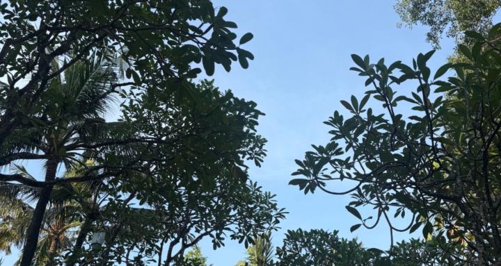 Peak health coaching