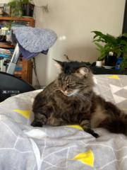 Karime Le Fleming Burrow