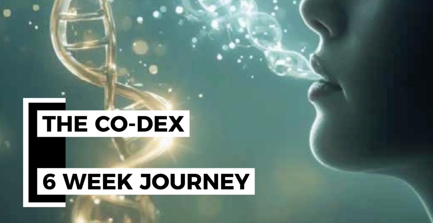 CO-Dex — A 6-Week Journey