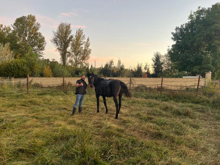 David Álvarez López