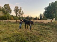 David Álvarez López