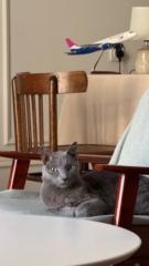 Мария Варновская